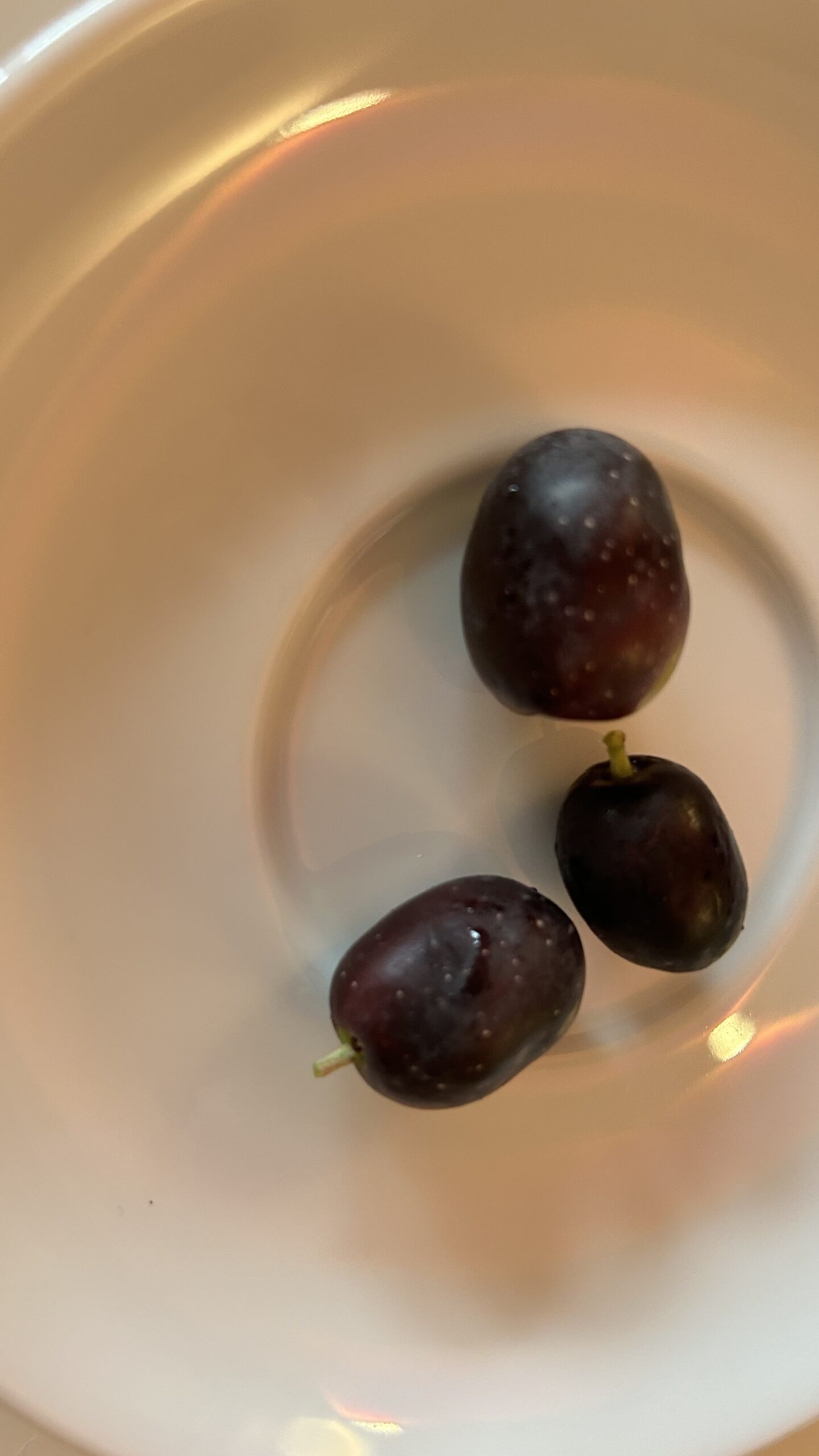 Mein Olivenbaum trägt Früchte. Wie bereite ich Oliven zu? Ein Leitfaden zur Olivenverarbeitung